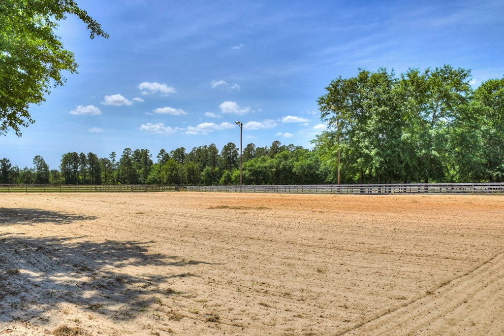 490 Big Tree Road Salley, SC 29137 - Photo 41 of 68