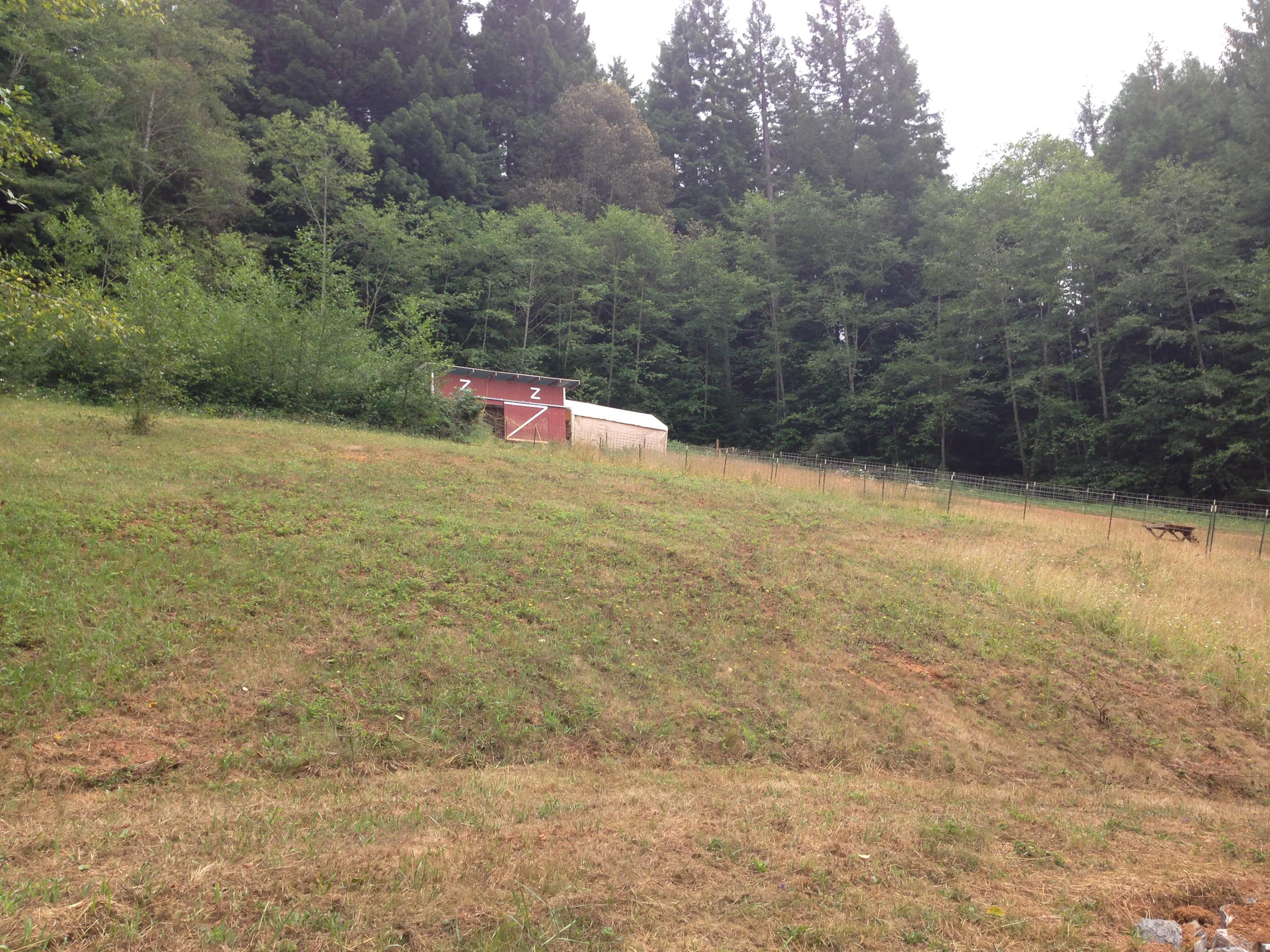1058 Old Roundhouse Road McKinleyville, CA 95519 - Photo 25 of 27