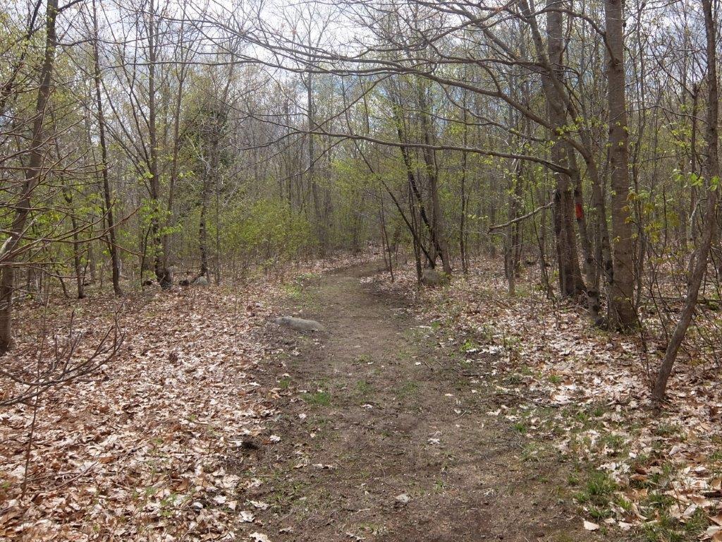 Lot 0-736 Prescott Road Manchester, ME 04351 - Photo 11 of 38 DSCF2749