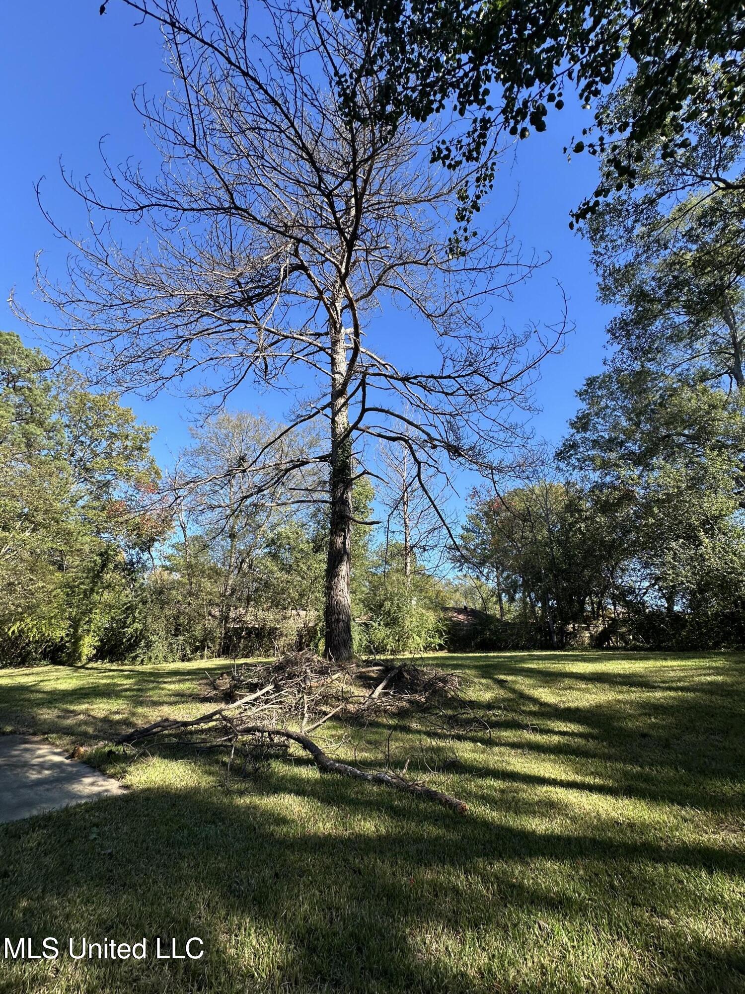 5551 Will O Run Circle Jackson, MS 39212 - Photo 11 of 11 exterior