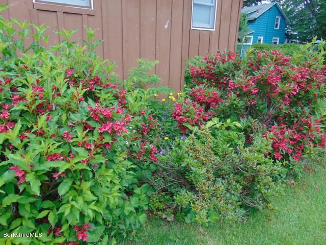 11 Constitution Road Pittsfield, MA 01201 - Photo 5 of 29 11 Constitution (12)