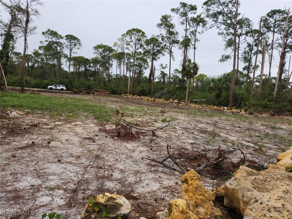 2004 Canton Avenue Alva, FL 33920 - Photo 5 of 8 a view of outdoor space with trees