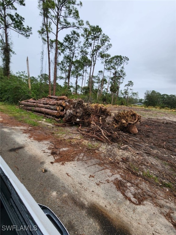 2004 Canton Avenue Alva, FL 33920 - Photo 6 of 8 a view of a yard with an tree