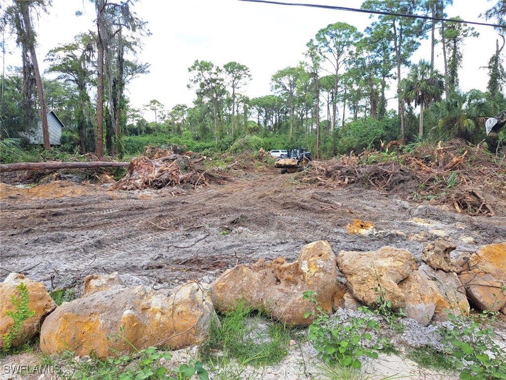 2004 Canton Avenue Alva, FL 33920 - Photo 7 of 8 a view of a backyard
