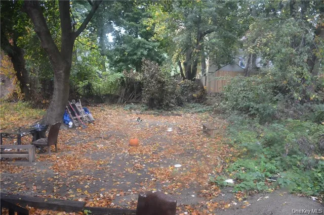 a view of a forest with trees