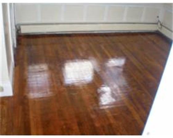 35 Hiawatha Road Boston, MA 02126 - Photo 5 of 5 Gallery Image 5