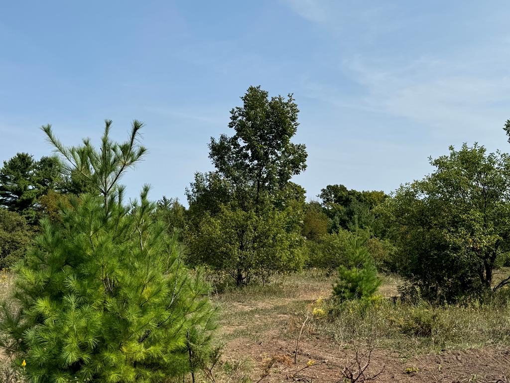 Lot 4 Division Road Egg Harbor, WI 54209 - Photo 6 of 13 Gallery Image 6