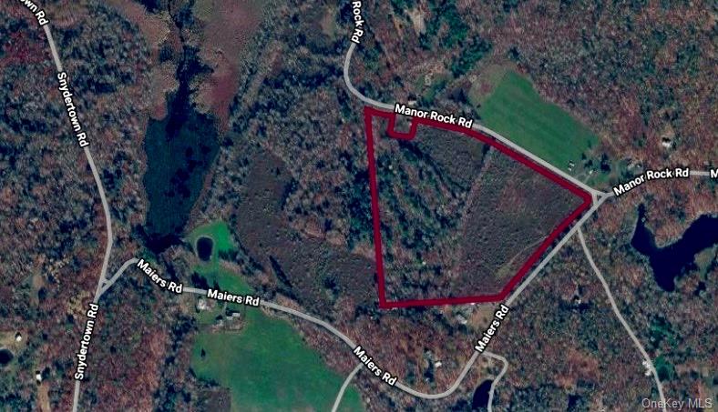 Manor Rock Road Craryville, NY 12521 - Photo 11 of 12 a view of street along with trees