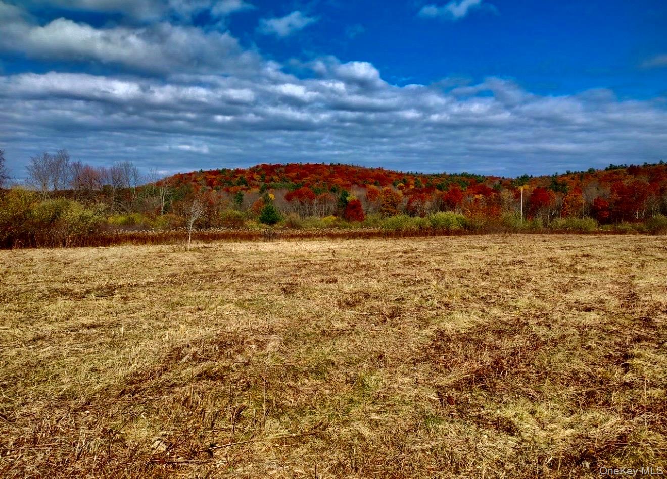 Manor Rock Road Craryville, NY 12521 - Photo 2 of 12 a view of a lake