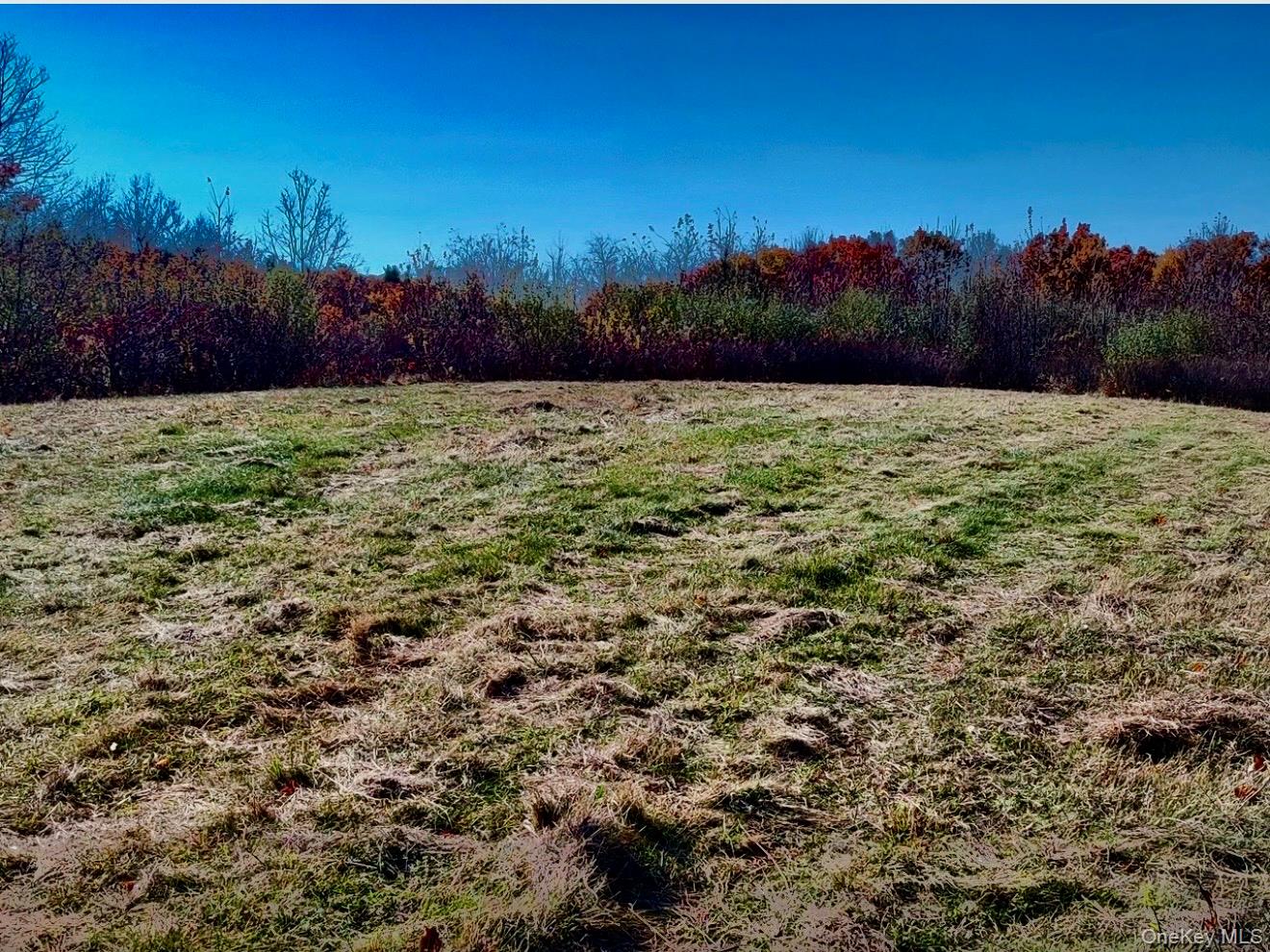 Manor Rock Road Craryville, NY 12521 - Photo 3 of 12 a view of outdoor space and a lake view