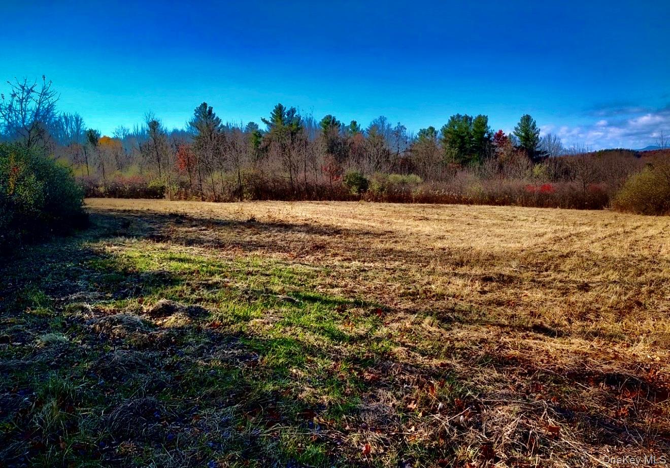Manor Rock Road Craryville, NY 12521 - Photo 4 of 12 a view of a yard