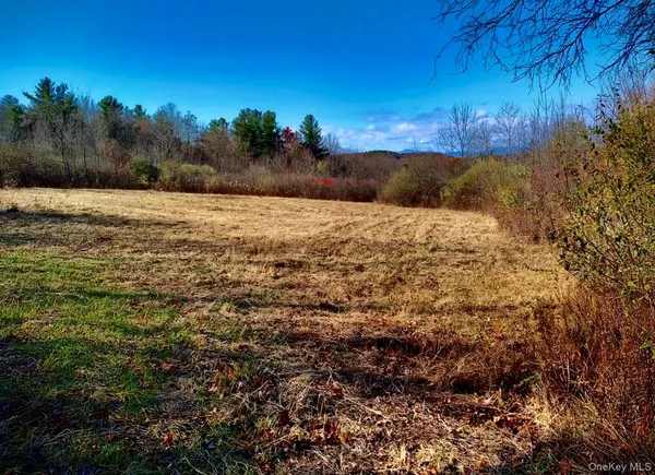 a view of a yard