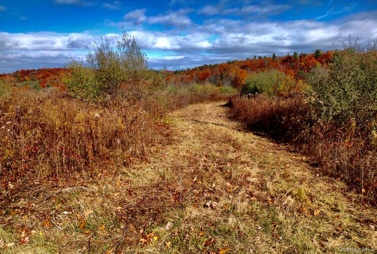 Manor Rock Road Craryville, NY 12521 - Photo 6 of 12 a view of a yard