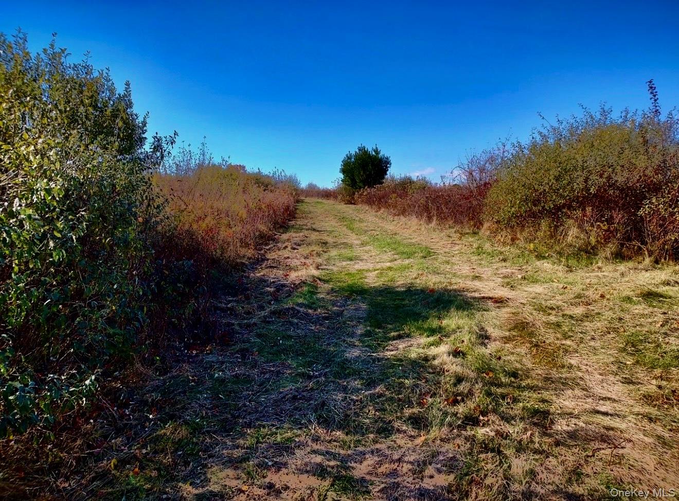 Manor Rock Road Craryville, NY 12521 - Photo 8 of 12 a view of a lake