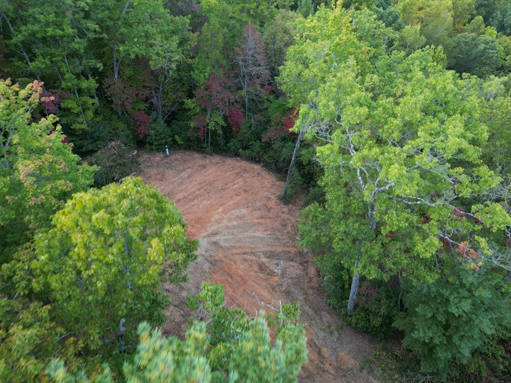 3.69-ac Atoah Loop Murphy, NC 28906 - Photo 21 of 28 Gallery Image 21