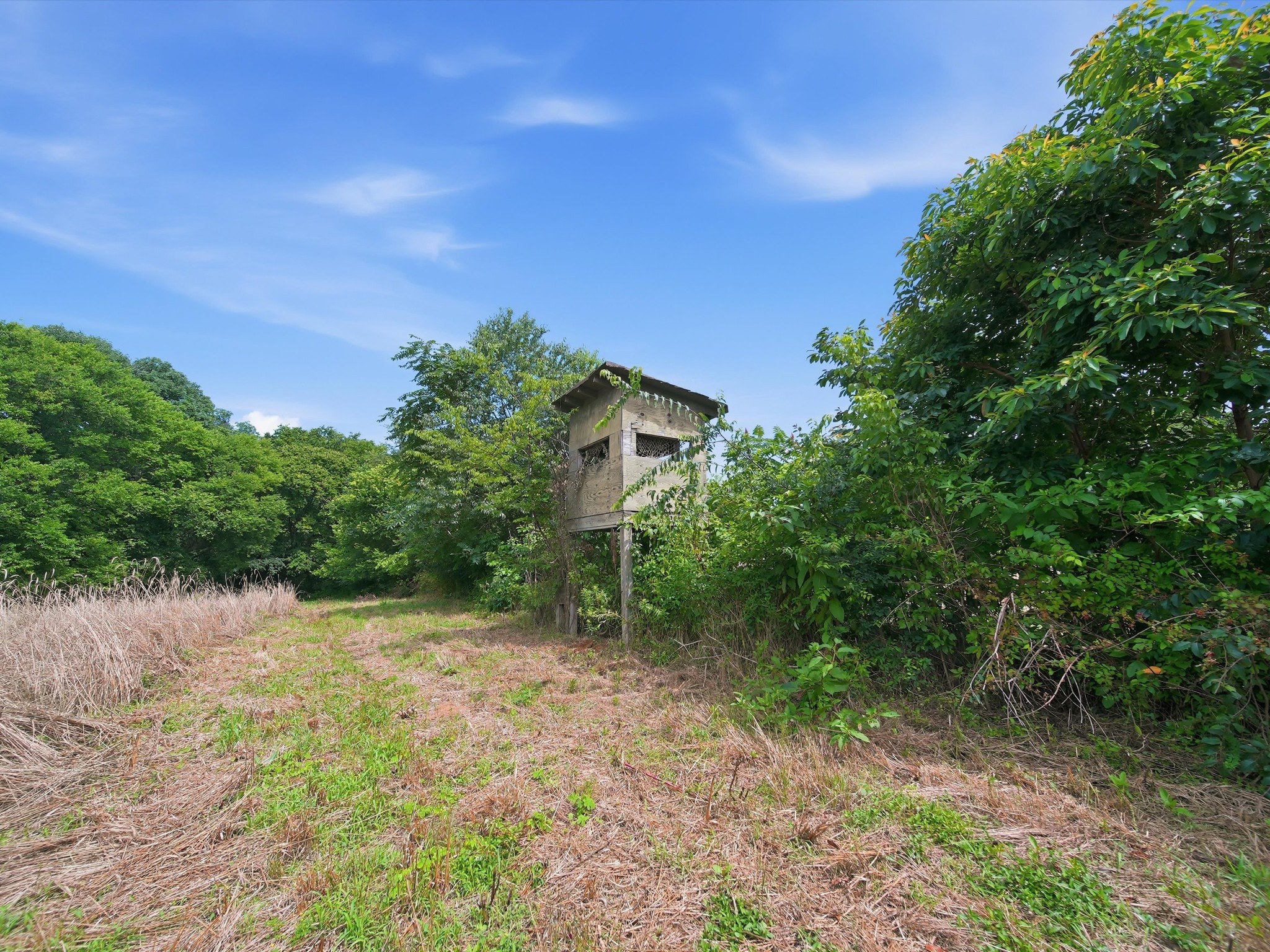168 Sherfield Road Fayetteville, TN 37334 - Photo 53 of 63
