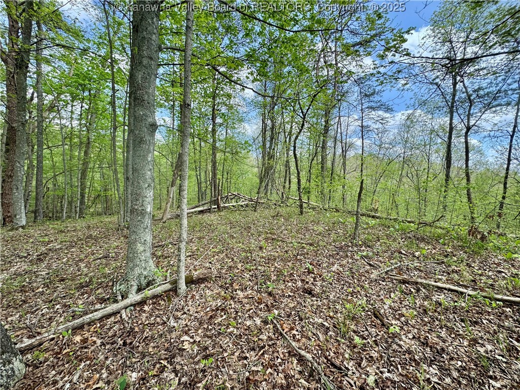 0 Sulug Road Leon, WV 25123 - Photo 18 of 18 Gallery Image 18