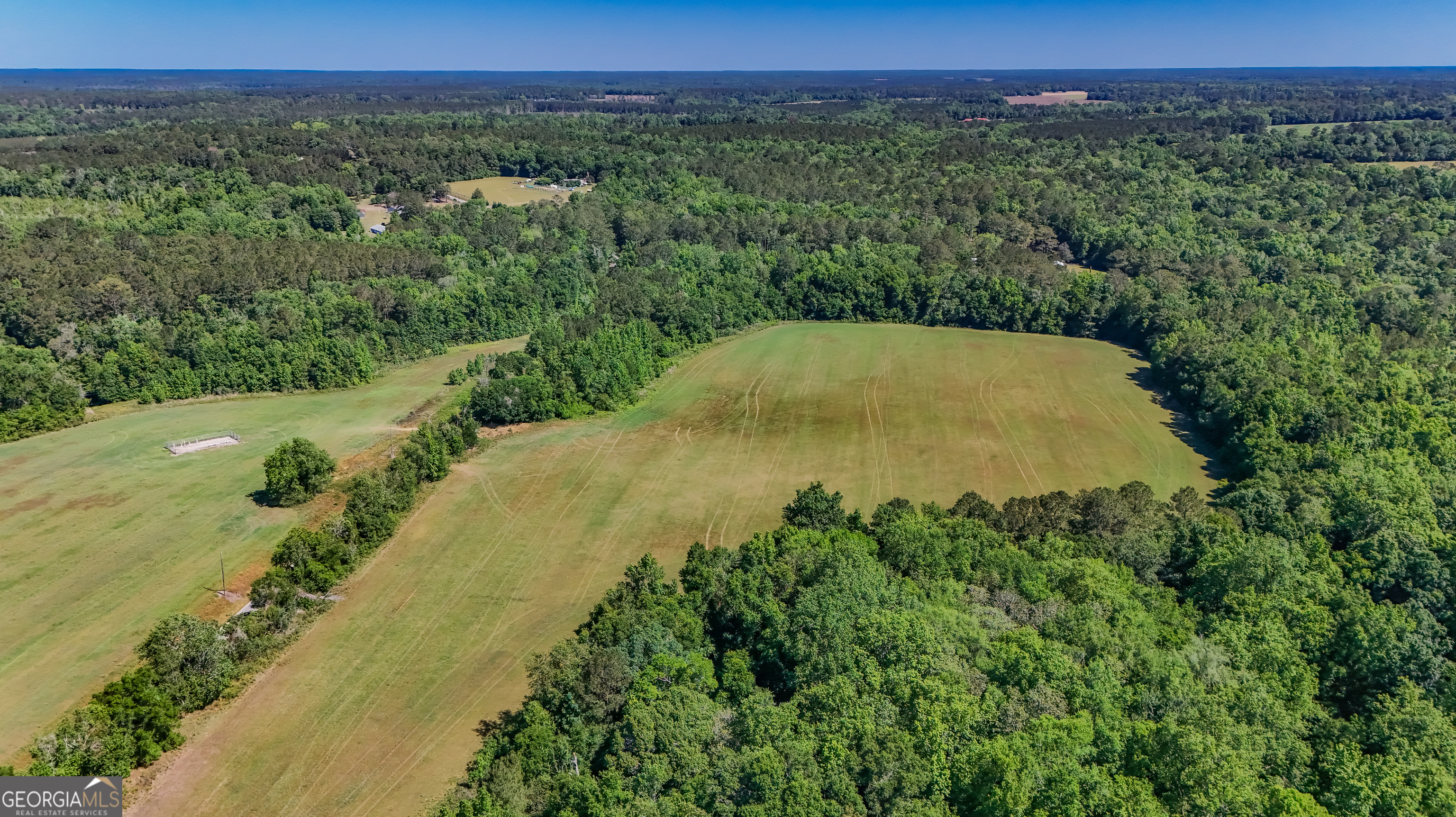 0 Darsey Road Cairo, GA 39828 - Photo 8 of 16 a view of a lush green forest with a house