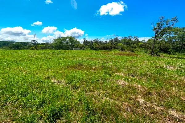 $430,000 | 17-820 Manaolana Place, Hilo, HI 96720