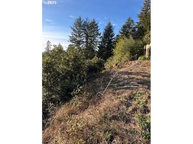 $225,000 | 0 Whisper Lane, Brookings, OR 97415