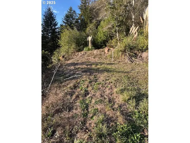 $225,000 | 0 Whisper Lane, Brookings, OR 97415