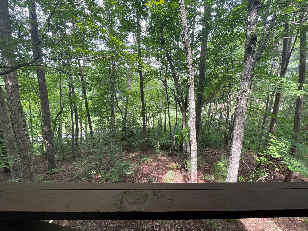 676 Goldie Garrett Road Marble, NC 28905 - Photo 31 of 38 Gallery Image 31