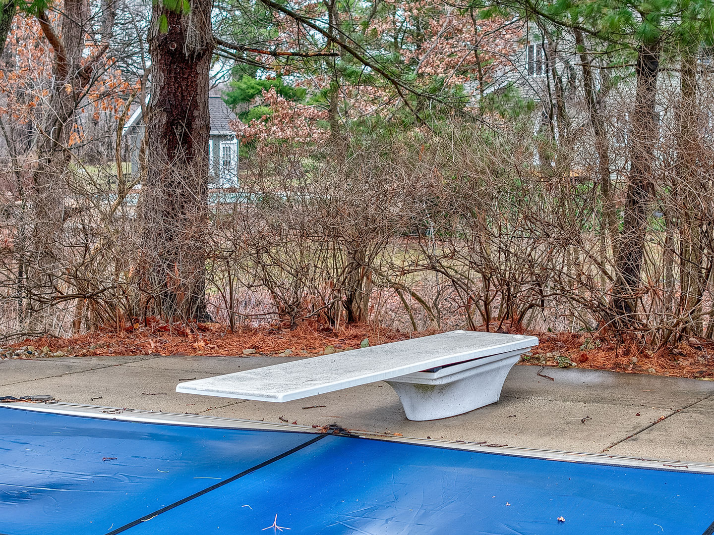 1631 Timber Lane Ottawa, IL 61350 - Photo 33 of 46