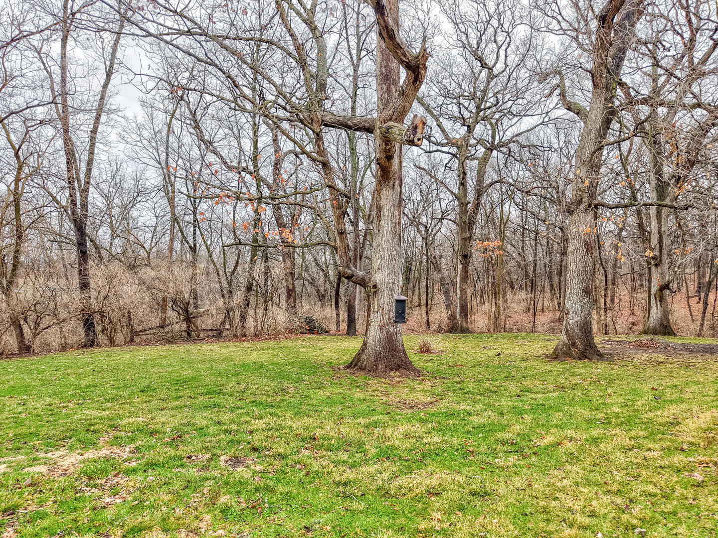 1631 Timber Lane Ottawa, IL 61350 - Photo 41 of 46