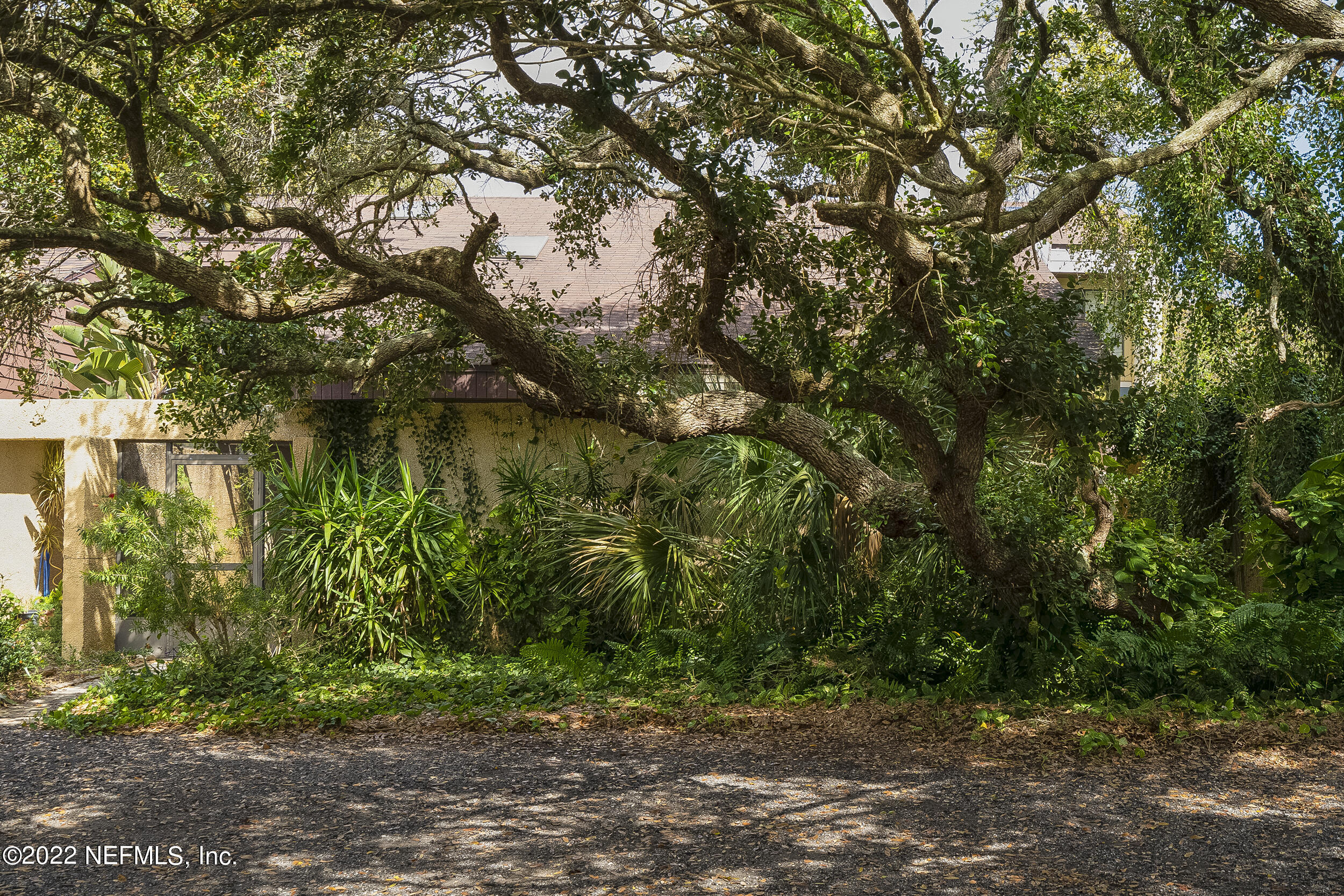 3403 Sanddollar Court St. Augustine, FL 32084 - Photo 12 of 47 a view of a yard