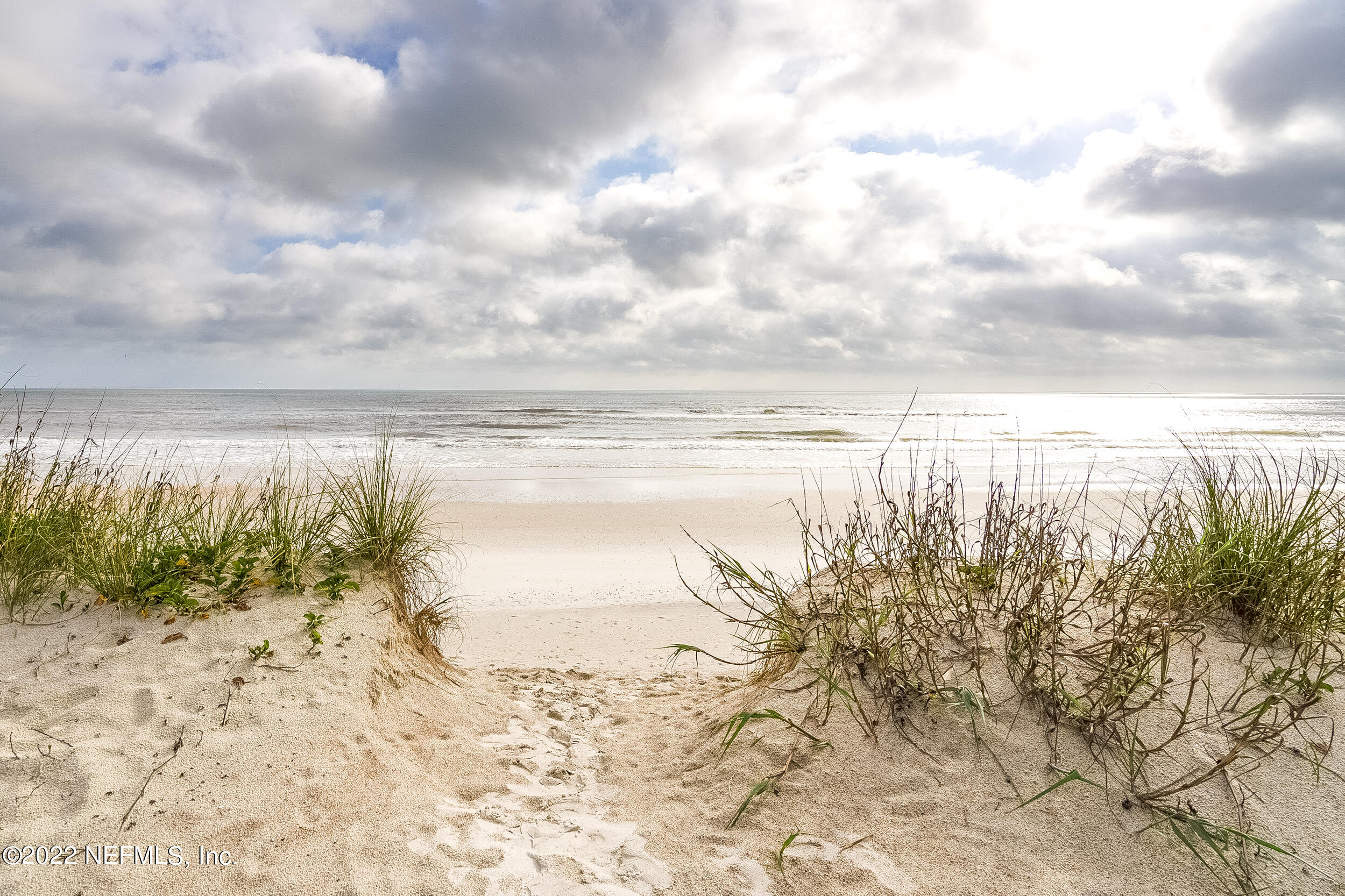 3403 Sanddollar Court St. Augustine, FL 32084 - Photo 8 of 47 a view of ocean view with large trees