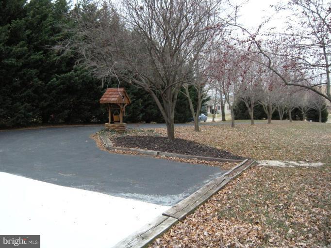 4297 Bark Hill Road Union Bridge, MD 21791 - Photo 13 of 16 a view of a backyard with large trees