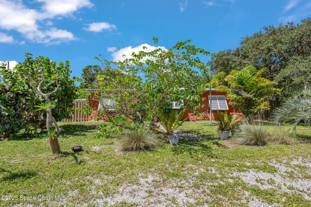 a green field with lots of trees