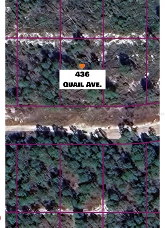 $19,900 | 436 Quail Avenue, Sebring, FL 33870