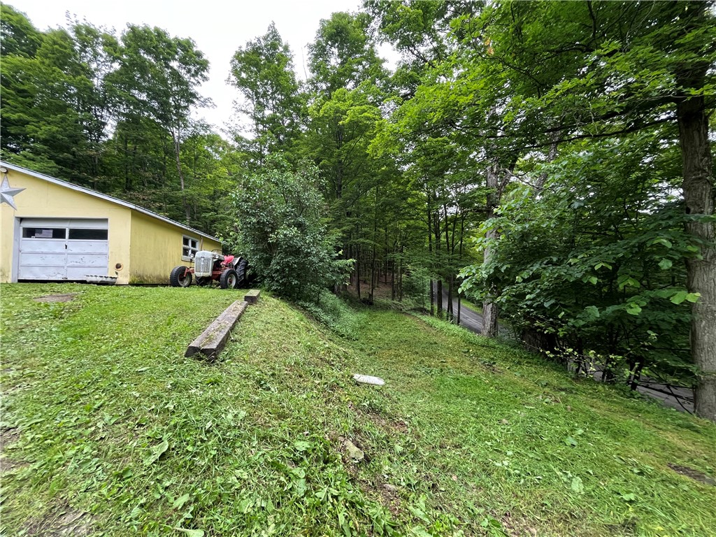 326 Park Hill Road Erin, NY 14838 - Photo 25 of 50