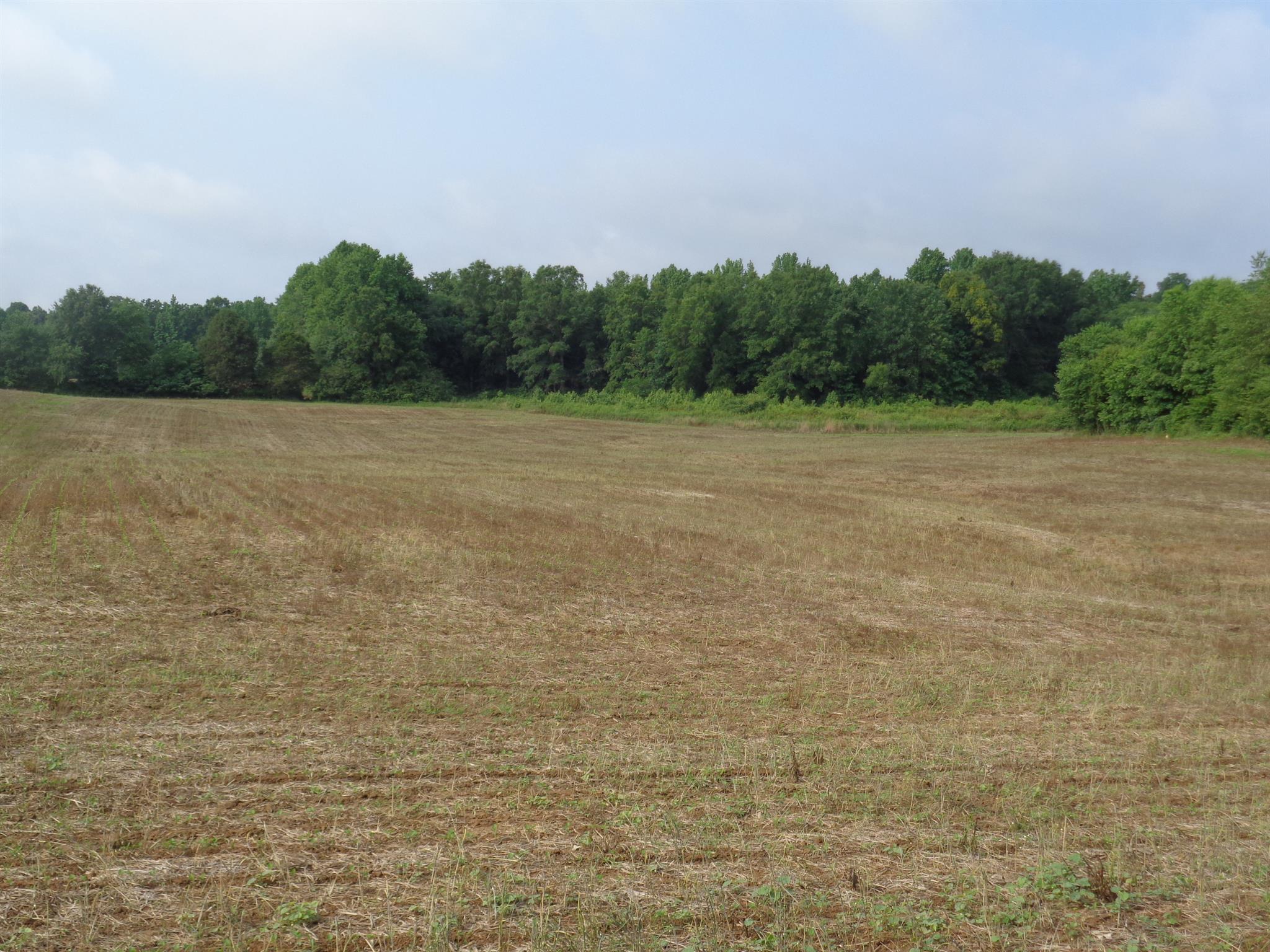 1 Old Seminary Road Manchester, TN 37355 - Photo 1 of 3 Gallery Image 1