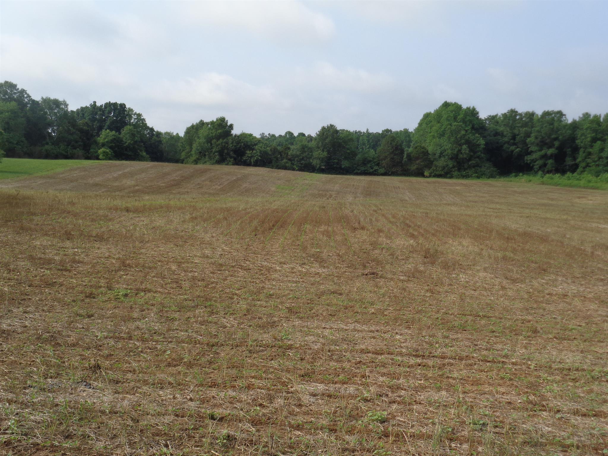 1 Old Seminary Road Manchester, TN 37355 - Photo 2 of 3 Gallery Image 2