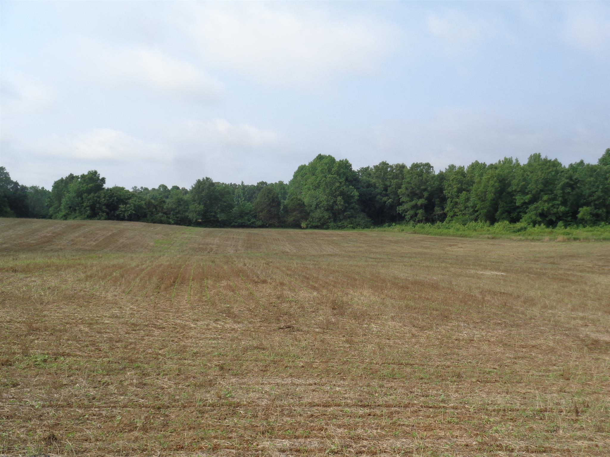 1 Old Seminary Road Manchester, TN 37355 - Photo 3 of 3 Gallery Image 3