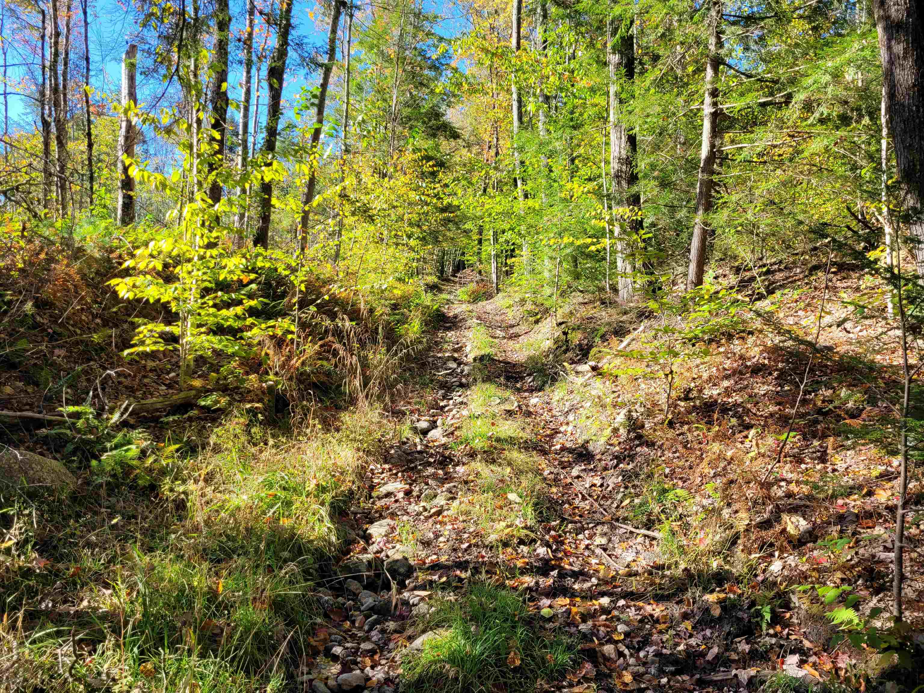 Snow Road Winchester, NH 03470 - Photo 2 of 6
