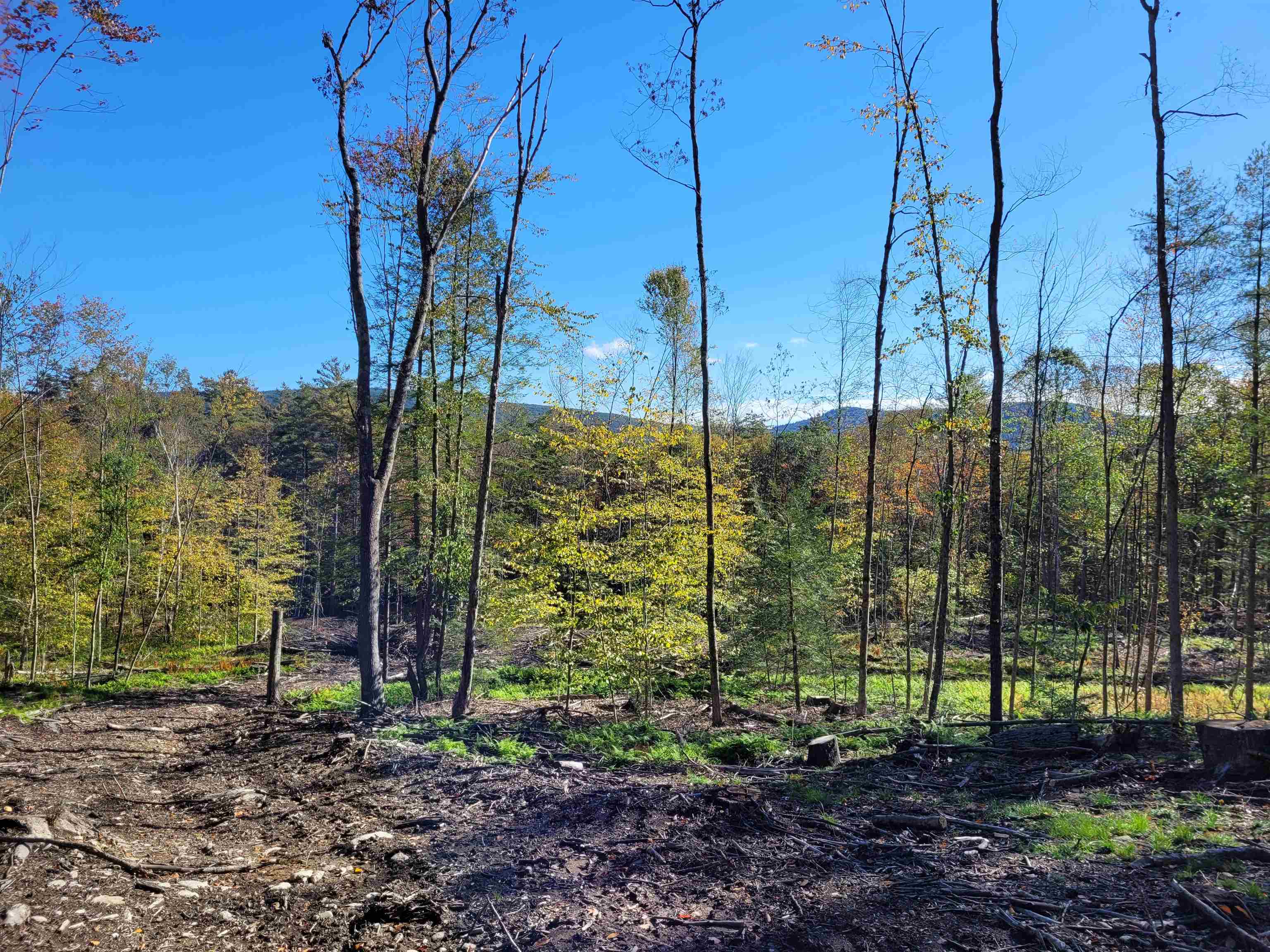 Snow Road Winchester, NH 03470 - Photo 3 of 6