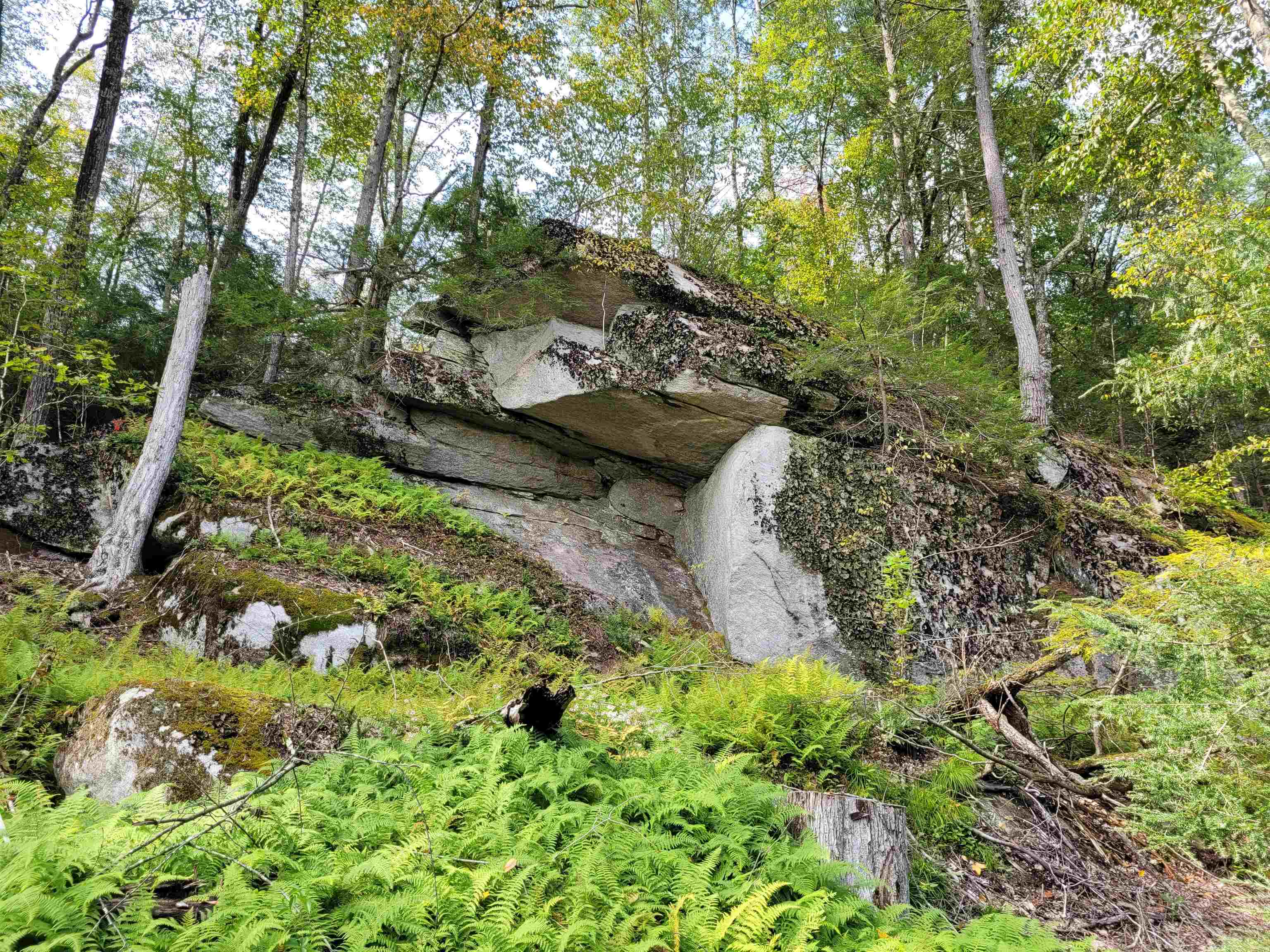 Snow Road Winchester, NH 03470 - Photo 4 of 6