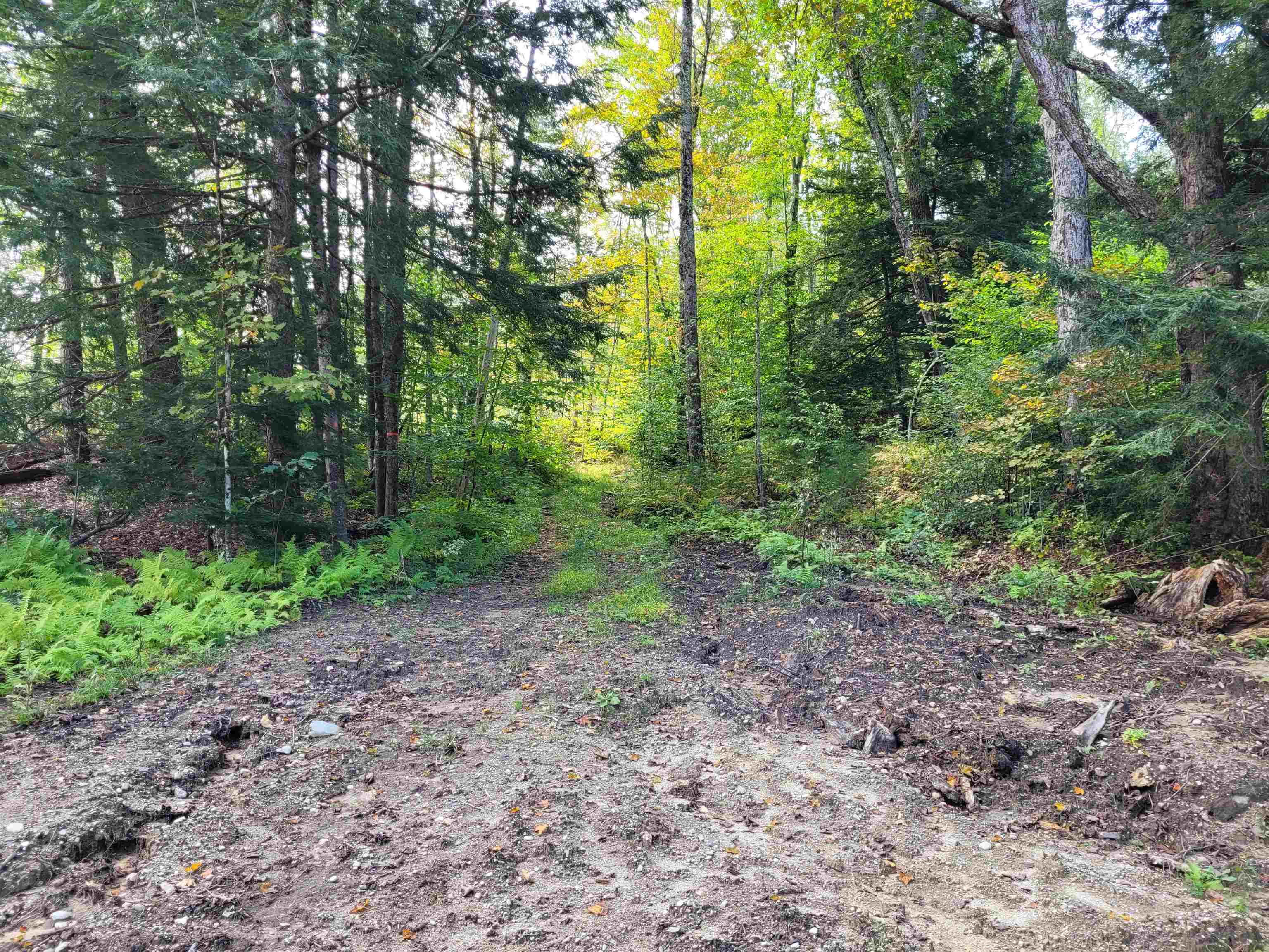 Snow Road Winchester, NH 03470 - Photo 5 of 6