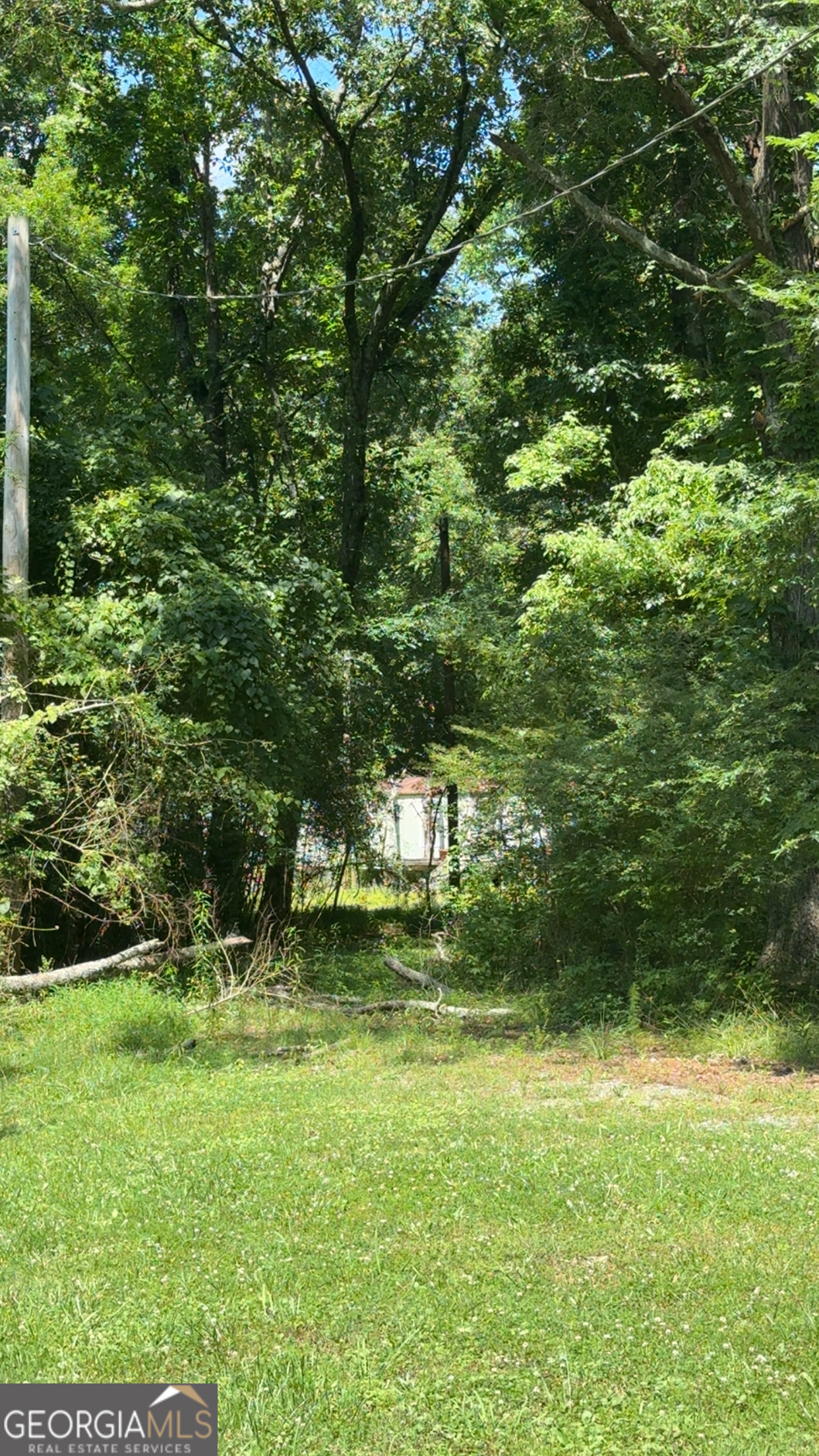 2169 Silver Hill Road Summerville, GA 30747 - Photo 4 of 7