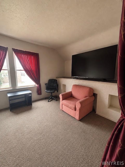 127 14th Street Buffalo, NY 14213 - Photo 14 of 24