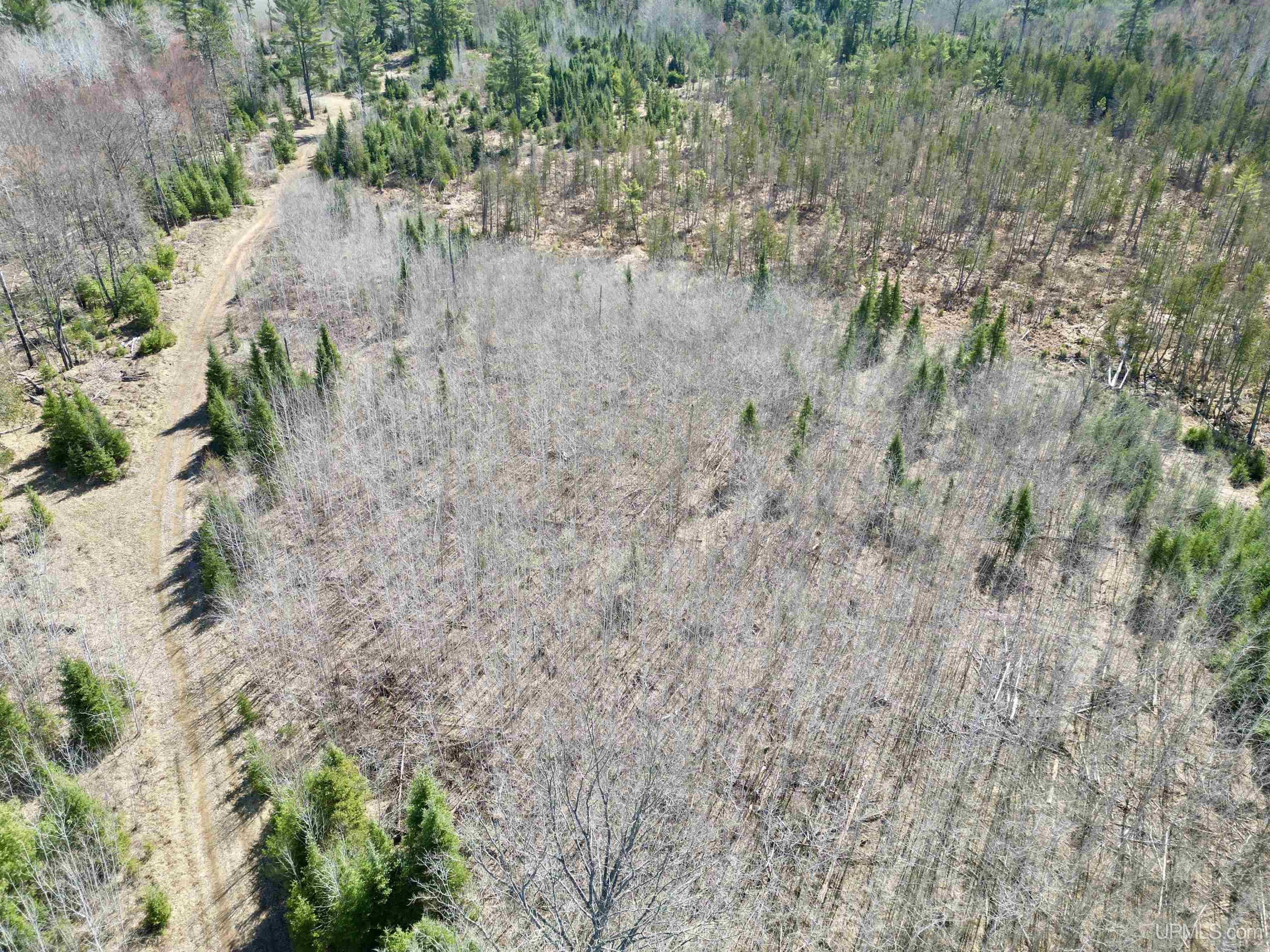 577 Rd Vulcan Mi 49892 Road Vulcan, MI 49892 - Photo 6 of 17