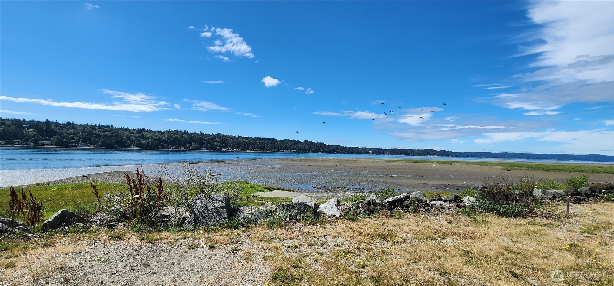 621 Northeast Gladwin Road, Unit 3 Belfair, WA 98528 - Photo 6 of 7