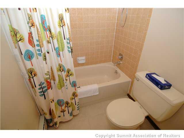325 Four Oclock Road, Unit A304 Breckenridge, CO 80424 - Photo 20 of 25 Gallery Image 20