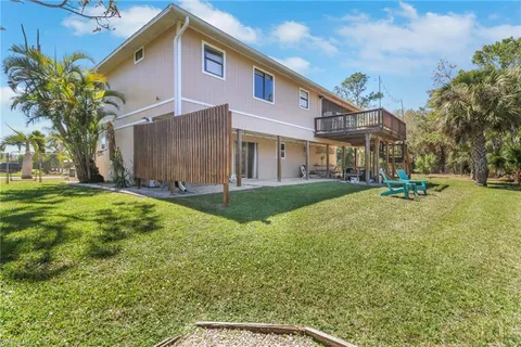 a view of a tennis ground with a large tree