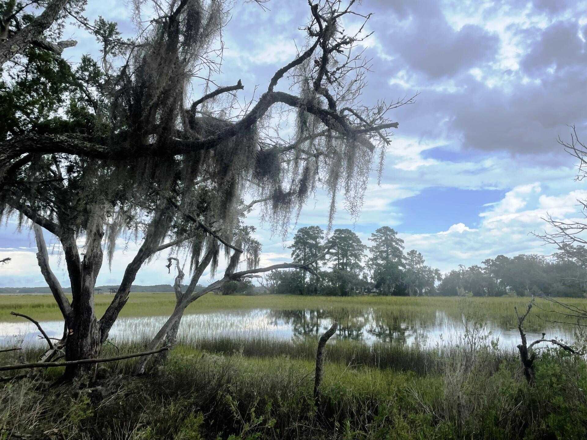 3 Long Island Road Meggett, SC 29449 - Photo 1 of 41 1.46 acre estate size waterfront lot!