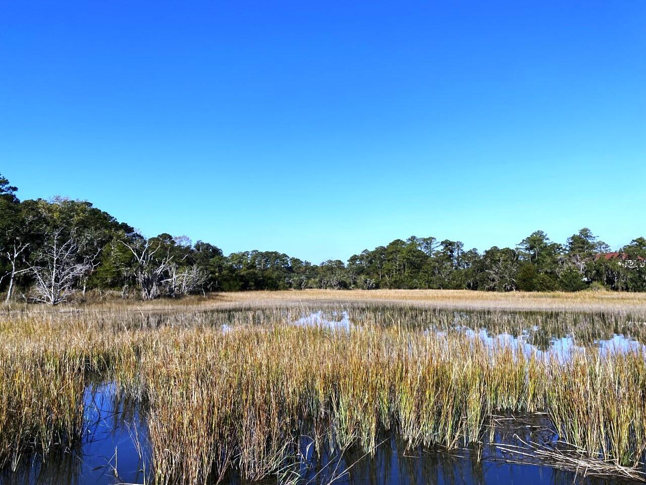3 Long Island Road Meggett, SC 29449 - Photo 11 of 41 Creek view!