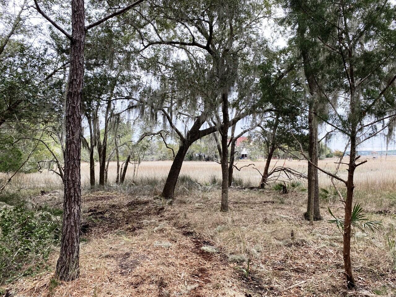3 Long Island Road Meggett, SC 29449 - Photo 17 of 41 Lot of Oaks!